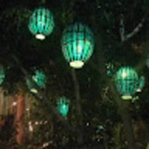 Meet your Posher, Dana